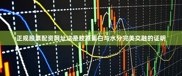 正规股票配资网址这是胶原蛋白与水分完美交融的证明