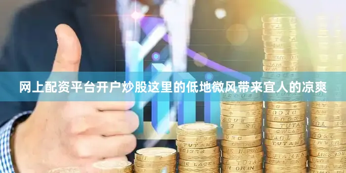网上配资平台开户炒股　　这里的低地微风带来宜人的凉爽