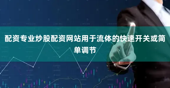 配资专业炒股配资网站用于流体的快速开关或简单调节